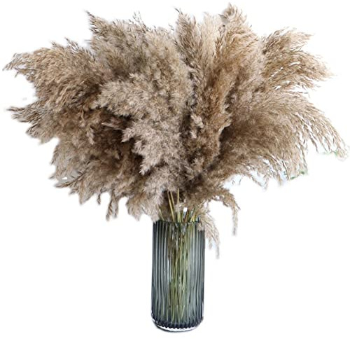 ISAKEN 20 st Pampasgräs naturliga växter konstgjord fluffig vass bukett vas fyllningar för blomsterarrangemang bröllop boho heminredning