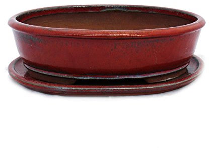 Exotenherz - Bol à bonsaï avec soucoupe taille 5 - rouge - ovale - modèle O3 - L 31 cm - l 24,5 cm - H 8,5 cm