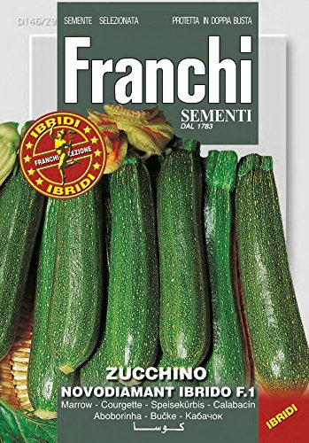 SEMI ZUCCHINO NOVODIAMANT F1 FRANCHI SEMENTI