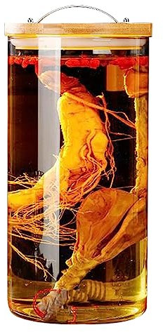 Large Capacity Glass Drink Beverage Dispenser|Water Dispenser with Leak-Free Spigot|Juice Container for Party Wedding,Family Gatherings,Birthday,5L(A),Glass Bottle