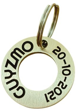 UNIKTAG Médaille gravée pour chien ou chat, médaillon épais personnalisable, étiquette d'identification personnalisée, 3 formes au choix, médaille en laiton (Rondelle)