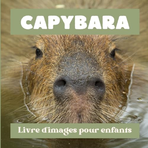 Capybara: Livre d'images pour enfants