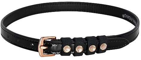 Sporenriemen IRHPardouz