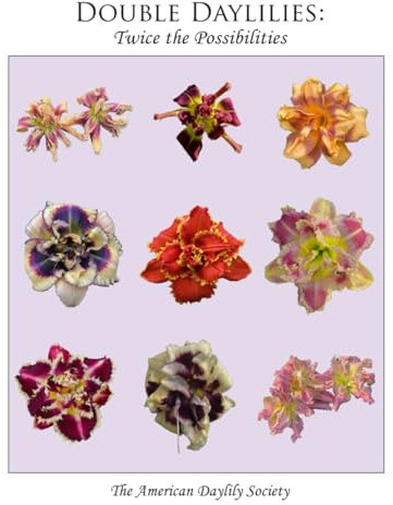 Double Daylilies: Twice the Possibilities