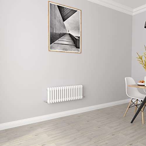 Vita radiatorer horisontella 2 kolumnskenor gjutjärnsstil centralvärmande element för badrum, vardagsrum och kök 300 x 830 mm