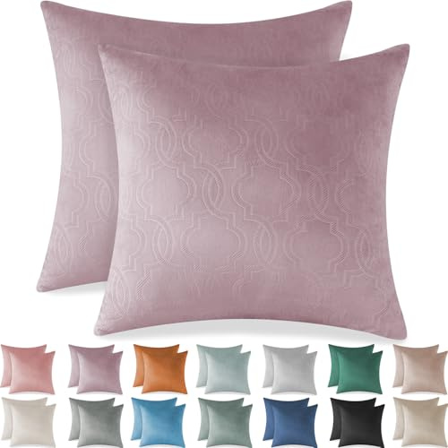 Ystyle Funda Cojin Sofa 60x60 Decorativa Hogar de Terciopelo para Salon Cama Jardin Dormitorio Cojines Decorativos de 2 Fundas para Almohadones Cojin Silla con Cierre Modernos, Morado