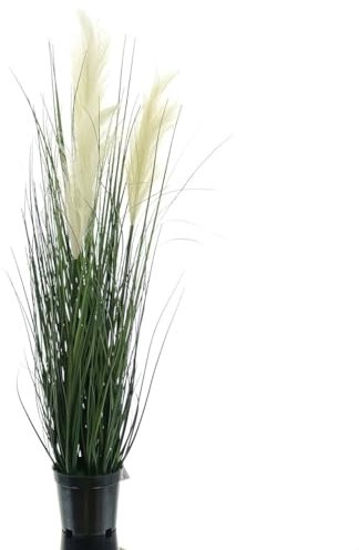 Gasper Pampasgras Weiß im schwarzen Topf 76 cm - Kunstpflanzen
