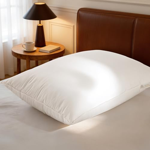 Luxury Canadian White Goose Down Pillow Queen Size- 900+ Fill Power, 600 Thread Count Cotton Shell, Soft Down Pillows for Sleeping, Hotel Collection Pillow for Neck Pain Relief (1 Pack, 20x30)