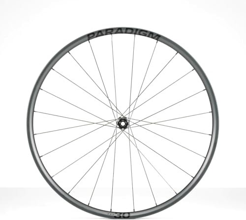 Bontrager Paradigm Pro 30 Disc 12T Carbon Rennrad Vorderrad schwarz