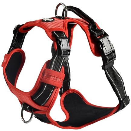 Bobby Rando Walk Harnais pour Chien Taille XS, en Nylon réfléchissant, Boucles réglables à Fermeture sûre, Facile à Porter, Rouge Ras du Cou 20-32 cm, Tour de Poitrine 36-43 cm