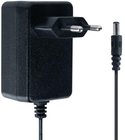 12V 1A Ladegerät für Kinder Elektroautos, Netzteil für 12V Bleiakkus in Spielzeugautos, Motorrädern, Quads, ATVs und Aufsitzfahrzeugen mit Ladeanzeige