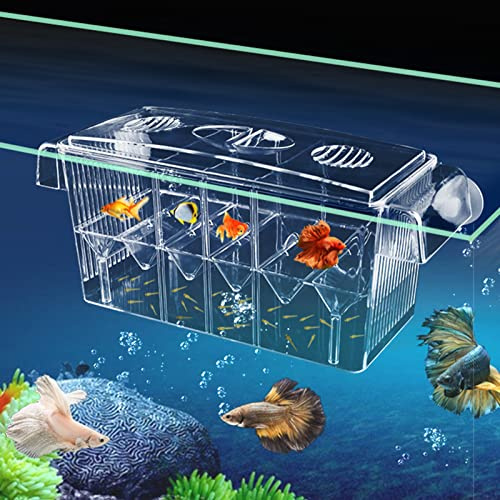 CSPone CSPone Ablaichkasten Aquarium Klein Laichbecken Aquarium Fisch-Züchterbox Zuchtbecken Aufzuchtbecken Noppen Transparent Trennwand für ​Fische 205 x 105mm