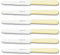 Cuchillos Mesa, cuchillo carne, cuchillo mantequilla, Set 6 piezas, acero inoxidable, hoja con filo y sierra, cuchillo untar. Apto lavavajillas. Mango ergonomico