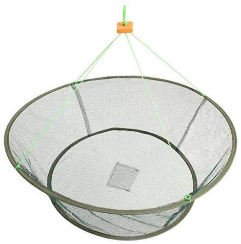 EatingBiting Portable Prawn Bait Crab Shrimp Net Drop Landing Fishing Pier Harbour Pond 31.5 Folding Fishes Net Perfect for Keeping Fishes Minnows Crab Lobsters (can not Hold a Large Fish)