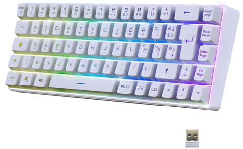 EMPIRE GAMING - K508 Clavier Gaming sans Fil Compact TKL 65% (AZERTY FR) - Via Wireless / 2.4G/ Type-C - pour PS4/PS5/PC/Mac -Rétroéclairage RGB - 68 Touches - 23 Touches Anti-Ghosting - Blanc (2024)