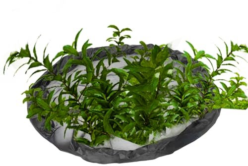 Barriera galleggiante per pesci flora, isola galleggiante per piante rotonda, isola flora, rete a maglia fine, decorazione per laghetto, decorazione per laghetto, decorazione per giardino e laghetto