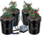 VIVOSUN DWC Hydrokultur-Wachstumssystem, 1,7 l tiefe Wasserkultur, Umlufttropfsystem mit Mehrzweck-Luftschlauch, Luftpumpe und Luftstein (4 Eimer + Top Drip Kit)