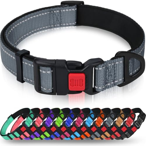 Taglory Reflekterande hundhalsband i nylon med säkerhetsspänne, justerbara husdjurshalsband med mjuk neoprenstoppning för små och medelstora hundar