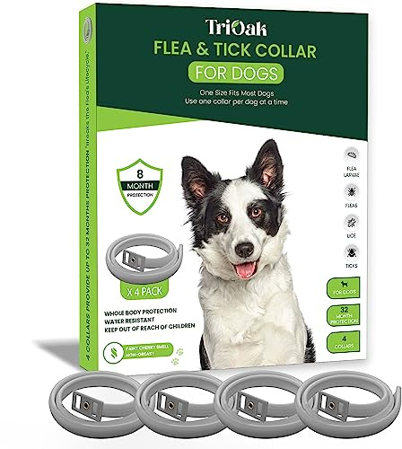 Flea and Tick Prevention Collar for Dogs, Adjustable Dog Flea and Tick Treatment for Puppy, Small, Medium, Large, and Extra Large Dogs, Best Natural Flea and Tick Collars (Gray Collar)