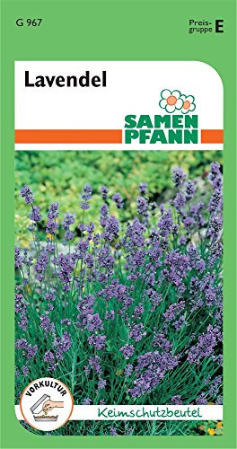 Samen Pfann G967 Lavendel (Lavendelsamen)