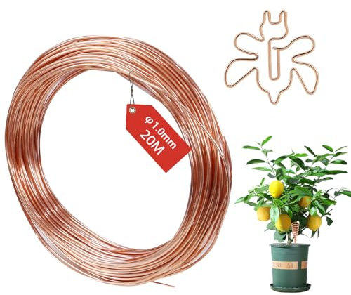 FIFIBANG 20M Kupferdraht, Ø1mm Copper Wire, T2 Reiner Kupferdraht Blank, Basteldraht Schmuckdraht, Gardening Kupferdraht, Kupferspulen für Garten, Pflanzen und Gemüseanbau DIY