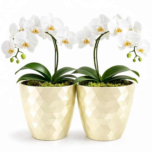 PECZEKO glänsande blomkrukor, plastväxtkrukor, dekorativ blomkruka för stora och små blommor, set om 2 blomkrukor, blomkruka, örtkruka, (2-pack) kräm, ø 20 cm