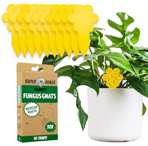 Super Ninja Fungus Gnat Killer - 10 Pack, Effective Gnat Killer for Indoor Plants, Non-Toxic & Nature-Friendly, Safe for Kids & Pets Yellow Sticky Fly Traps, Lasts Up to 3 Months