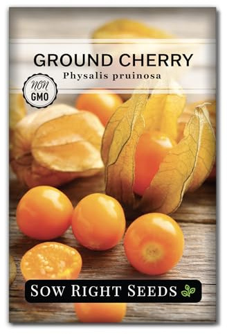 Sow Right Seeds - Ground Cherries Seeds for Planting - Non-GMO Heirloom Packet with Instructions to Plant an Outdoor Home Vegetable Garden - Mexican Husk Tomato - Endangered Variety (1)