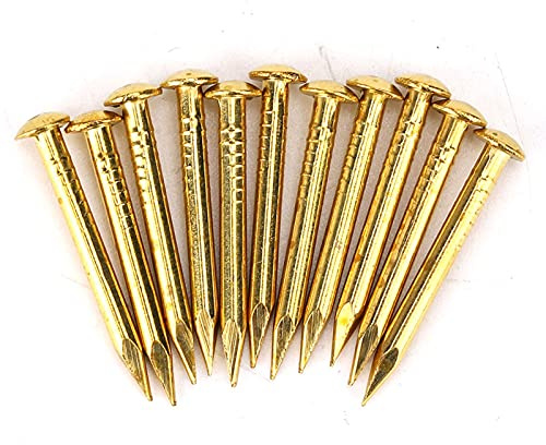 100pcs Round Head Brass Nails, Antique Solid Brass Escutcheon Pins for Furniture Hinges & DIY Crafts, 22mm Long Thick