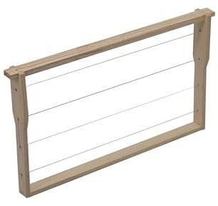 20x DNM Rähmchen Hoffmann waagerecht gedrahtet Deutsch Normal Segeberger