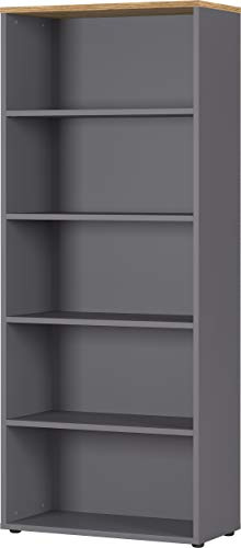 Marchio Amazon - Alkove Scaffale per Documenti, 80x197x40 cm (BxHxT)