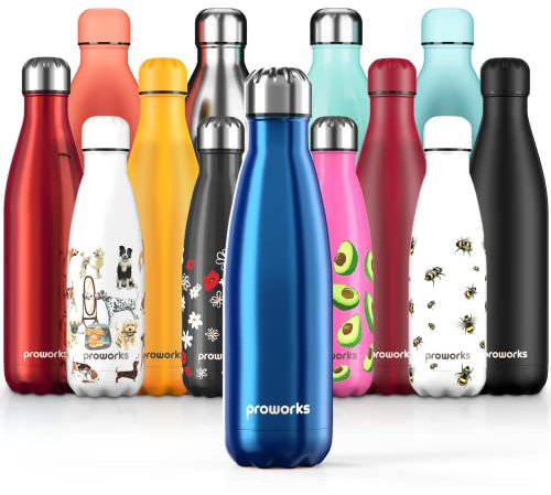Proworks Insulated Water Bottle, BPA Free, Reusable Stainless Steel Water Bottle for 12 Hours Hot & Cold Hold Up to 24 Hours, for Sports, Gym, Travel – 500 ml – Blue