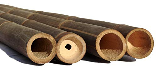 bambus-discount.com 1 tube de bambou de 200 cm, noir et marron foncé, avec 6-8 cm de diamètre et traité au sel de bore