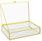 DRERIO Glass Jewelry Box - Large Decorative Display Case for Trinkets, Earrings, Rings, Necklaces, Bracelets - Clear Rectangular Golden Organizer