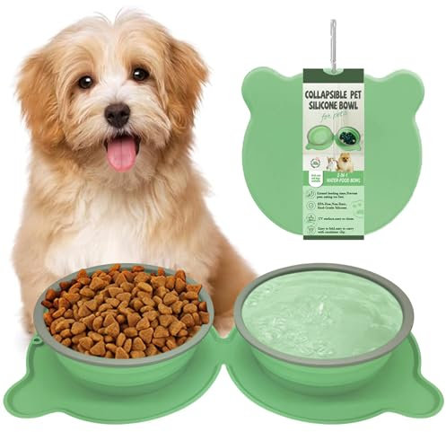 Jicyor Hundenapf Faltbar, Reisenapf Hund, 2 in 1 Haustierfutter Schüssel, Hundenapf Unterwegs, Faltbarer Trinknapf für Kleine und Große Hunde(Grüner, 16.5 * 16.5 * 3CM)