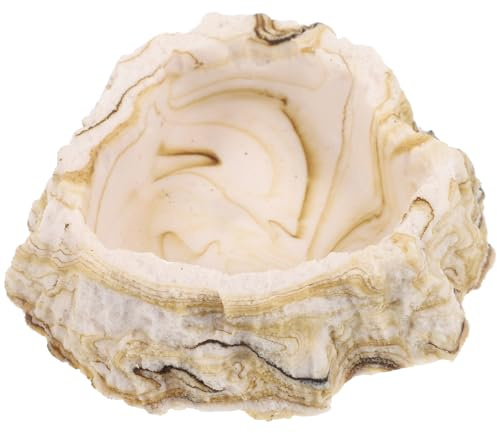Beavorty Cuenco para Reptiles de Resina Superficie Lisa, Estable y Duradero, Adecuado para Agua y Comida en Terrarios de Lagartos y Pequeños Animales