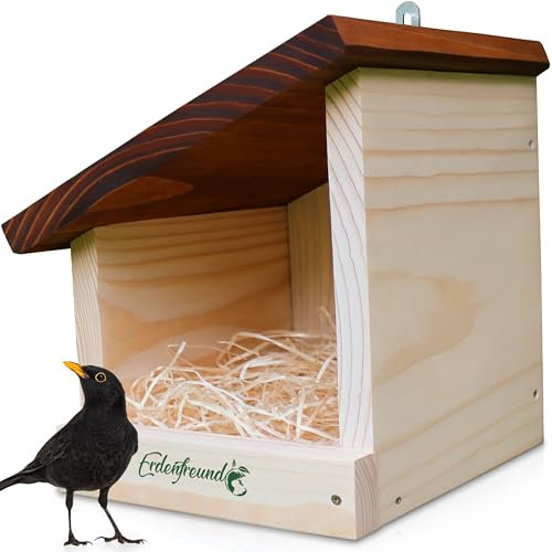ERDENFREUND® Amsel Nistkasten halboffen extra für Freibrüter/Halbhöhlenbrüter Nistkasten Amsel artgerechte Halbhöhle langlebig aus 2 cm FSC-Massivholz (Amselhaus modern artgerecht)