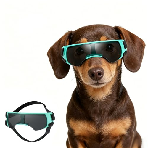 ENJOYING Dog Sunglasses Small Breed, Anti-UV Puppy Goggles for Small Dogs, Windproof Outdoor Dog Eye Protection for Driving Biking, Adjustable Head Straps, Cute Blue