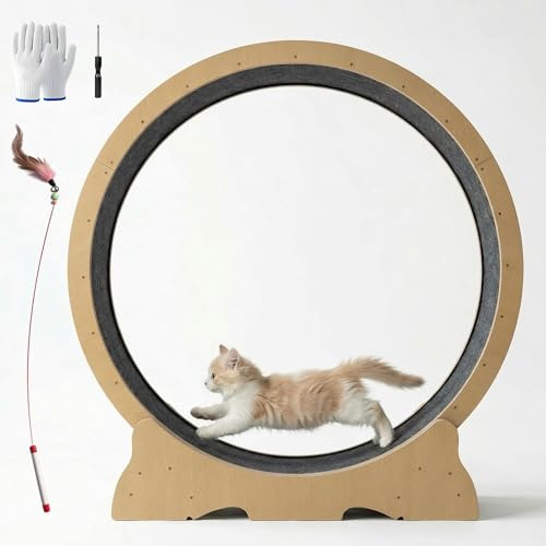 POLAHAKU Cat Exercise Wheel, 48 Inch Diameter Cat Treadmill for Indoor Cats, Cats Running Wheel with Updated Enhanced Base and Carpeted Runway for Cat's Longer Life and Fitness, Natural