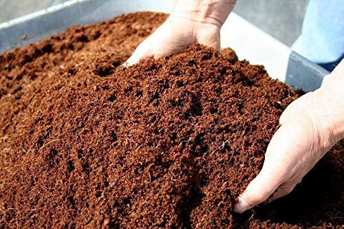 Coconut Coir Coco Peat Organic Compost Soil Media Hydroponics Substrate 2 Litre