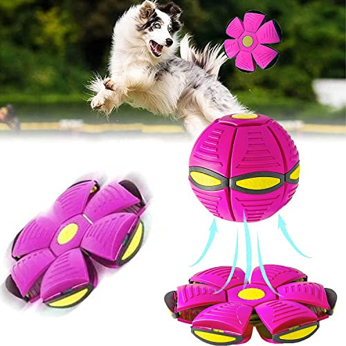 YeahBoom Haustier Spielzeug Frisbee Ball,Fliegend Untertasse Ball Spielzeug für Hunde,Fliegender Ball für Hunde,Pet Toy Frisbee Ball Hund,Fliegender Ball, Premium Hundeball