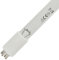 Ersatzlampe UVC 80 Watt Amalgam UV-C Lampe für Teich und Koiteich Filter | 4-Pin BASE C