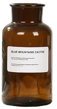 Inovey Glas Vase Home Kleine Hydroponische Pflanze Glasflasche Wohnzimmer Dekoration Getrocknete Blumen Dekoration Transparente Blumenvase - Braun - L