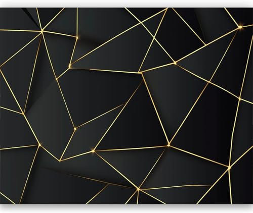 Papel pintado fotográfico impreso Líneas geométricas negras Papel pintado fotográfico de tejido no tejido 250 x 175 cm arte fotográfico pared de Negro pintado de pared imagen de pare