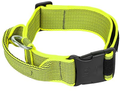 Julius-K9 200HA-K-NE-2015 Color & Gray Halsband mit Haltegriff, Sicherheitverschluss und Logo, 50 mm*49-70 cm, verstellbar, neon-grau