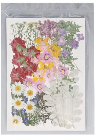 Tnfeeon 100 Pezzi Fiori Pressati Secchi Fiori Pressati Foglie Piante Artificiali Fiore Pianta Campione Kit per Artigianato Gioielli Creazione di Candele
