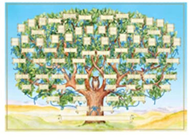 Stammbaum-Diagramme zum Ausfüllen, Generationen-Familien-Genealogie-Baum-Poster, ausfüllbares Ahnentafel, leeres Diagramm, Ahnentafel-Anzeigeformular, Familiengeschichte, Wanddekoration, DIY-Geschenke