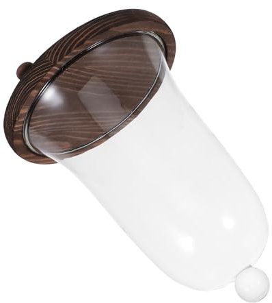 ERINGOGO Glass Plant Terrarium Preserved Flower Glass Dome Unique Car Interior Adornment