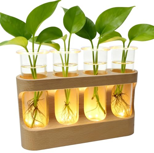 Tubos de ensayo de flores, jarrón de tubos de ensayo con soporte, tubos de ensayo de madera desmontables para flores, plantas, estación de propagación, 4 tubos de ensayo, plantas, para el hogar, salón