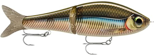 Super Shadow Rap Glide 11 SMB